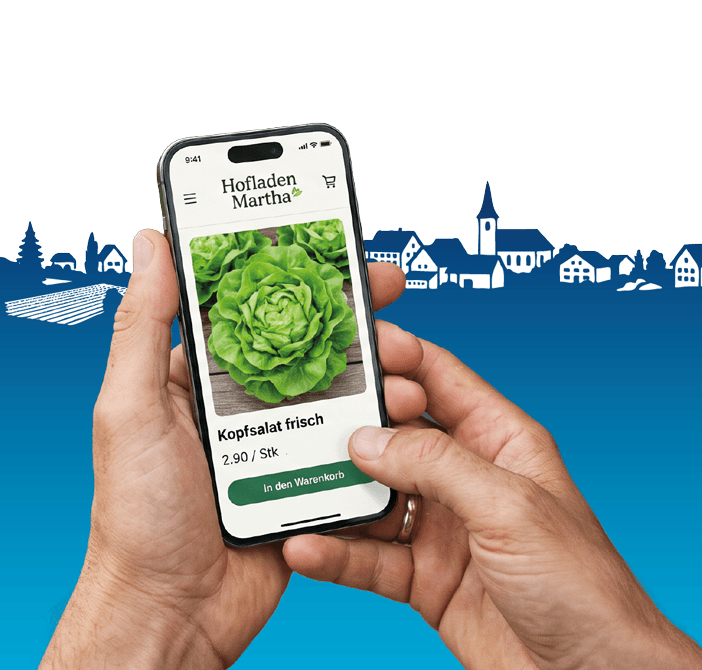 Eine Person bestellt auf dem Smartphone im Onlineshop des Hofladen einen lokalen Kopfsalat.